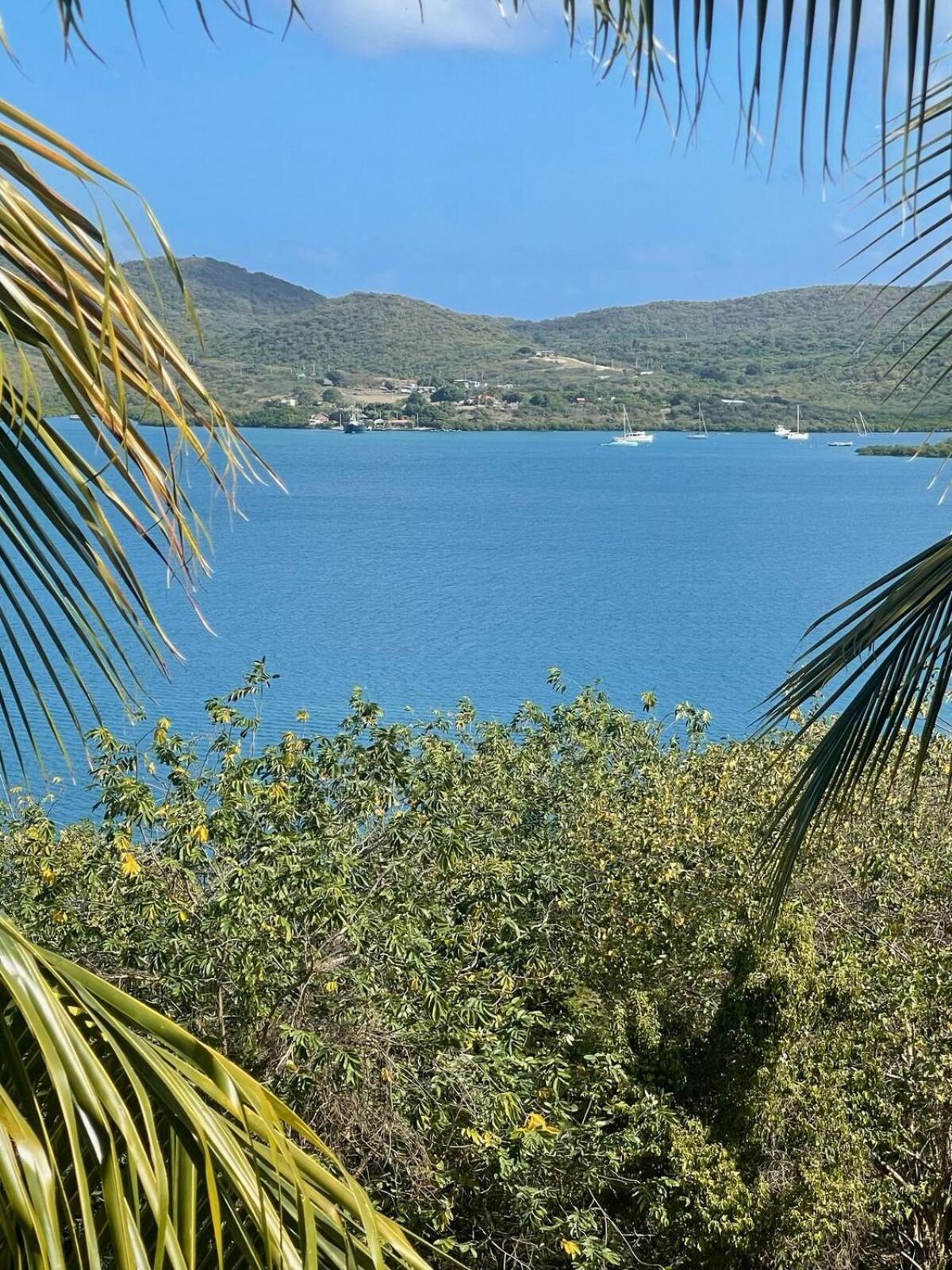 Costa Bonita Villas - Bldg 15 - Ocean View Studio - Resort Pool - Culebra, Pr Isla Culebra Eksteriør billede